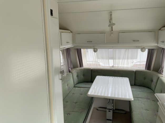Kip Grey Line 50 Bevrijdingsdag open (1043252)